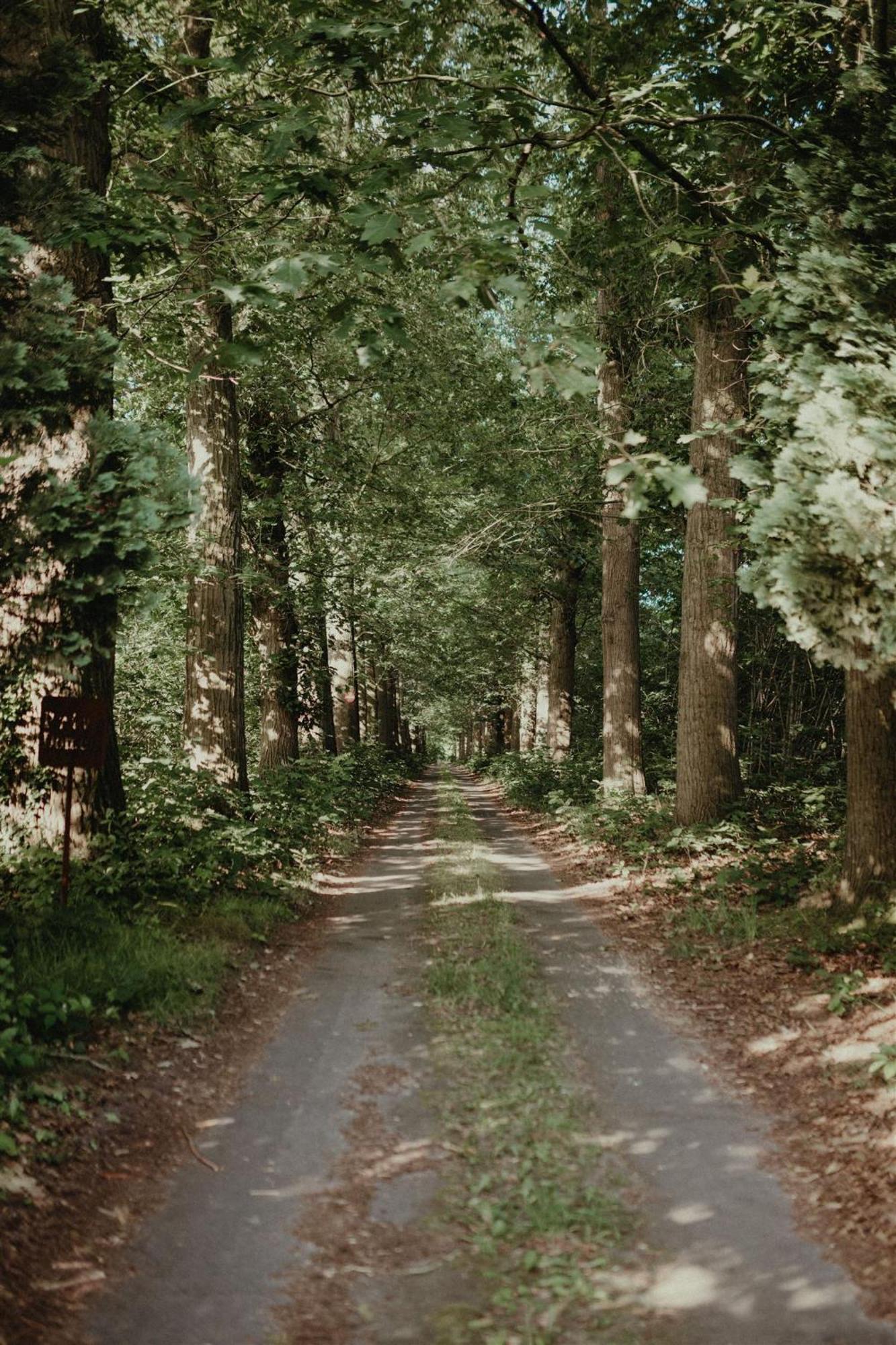 Villa Parkbos De Pinte Eksteriør billede
